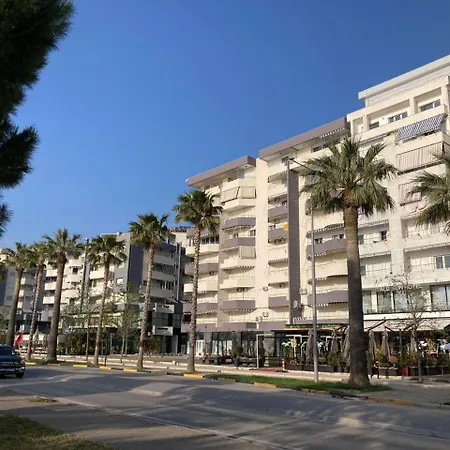 Vera Vlore